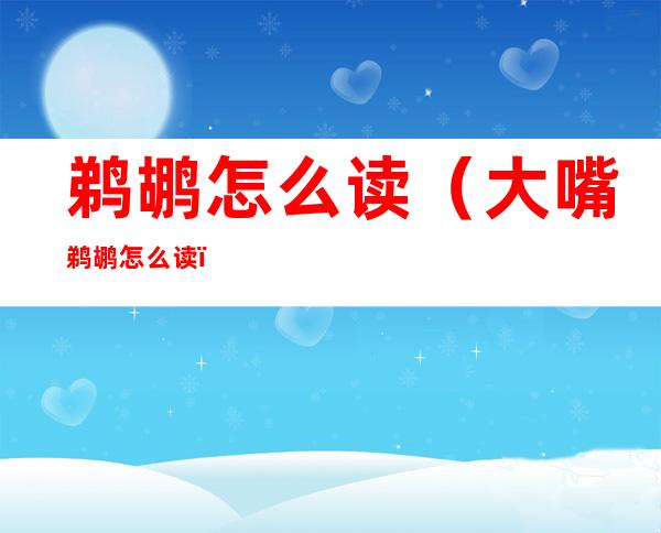 鹈鹕怎么读(大嘴鹈鹕怎么读)