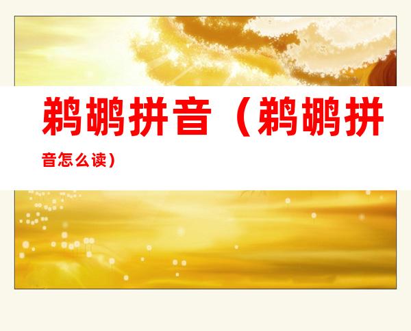 鹈鹕拼音(鹈鹕拼音怎么读)
