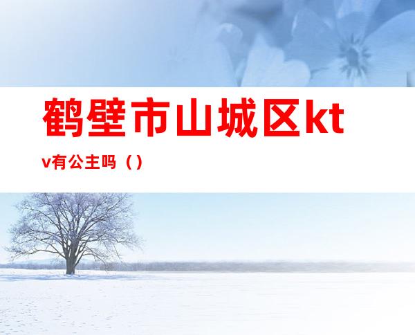 鹤壁市山城区ktv有公主吗()