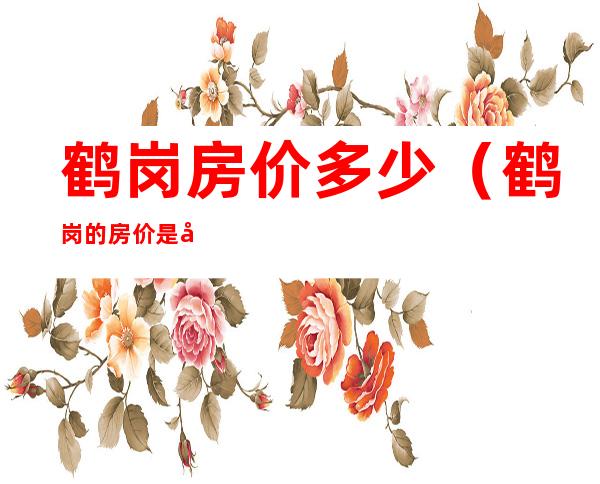 鹤岗房价多少(鹤岗的房价是多少)