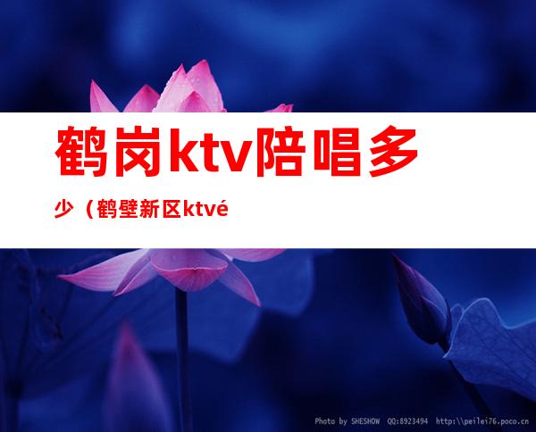 鹤岗ktv陪唱多少(鹤壁新区ktv陪唱)
