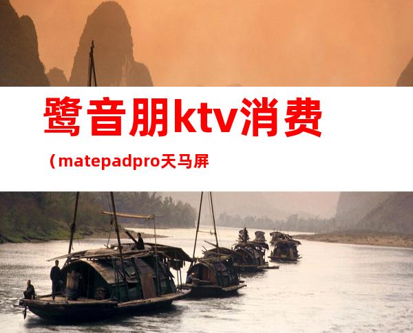 鹭音朋ktv消费(matepadpro天马屏)