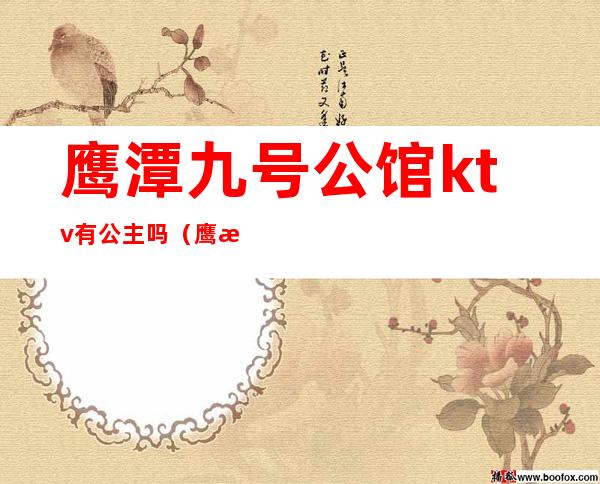 鹰潭九号公馆ktv有公主吗(鹰潭哪个ktv有公主)