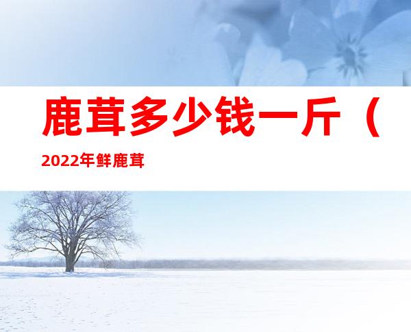 鹿茸多少钱一斤（2022年鲜鹿茸多少钱一斤）