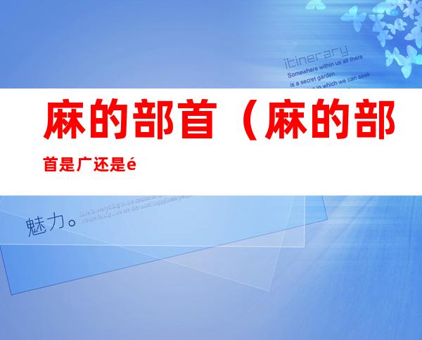 麻的部首(麻的部首是广还是麻)
