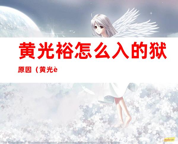黄光裕怎么入的狱原因(黄光裕怎么入的狱原因贴吧)