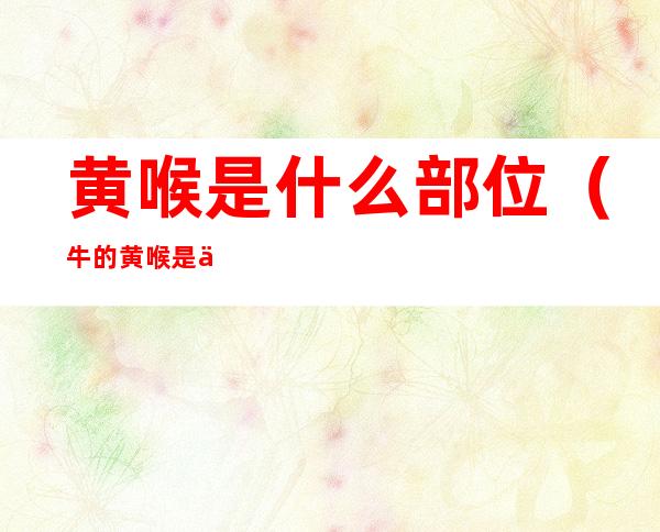 黄喉是什么部位(牛的黄喉是什么部位)