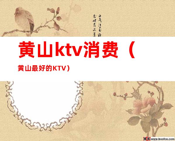 黄山ktv消费(黄山最好的KTV)