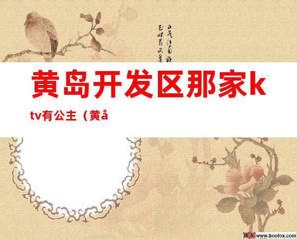 黄岛开发区那家ktv有公主(黄岛哪家ktv有公主)
