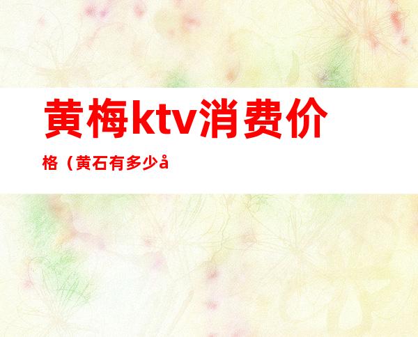黄梅ktv消费价格(黄石有多少家KTV)