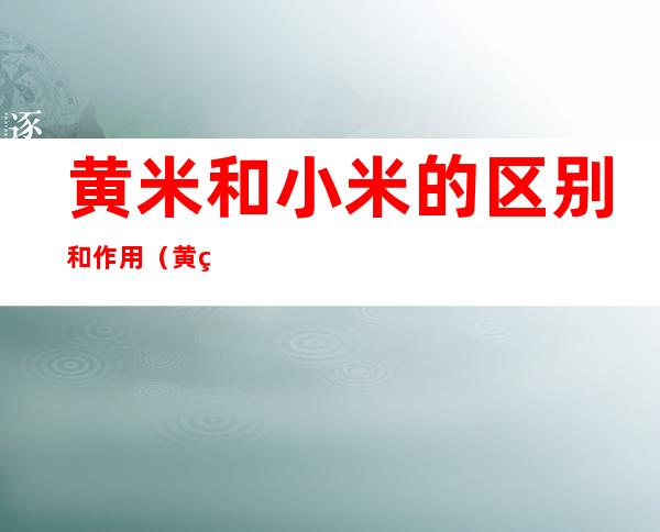 黄米和小米的区别和作用(黄米和小米的区别和作用是什么)
