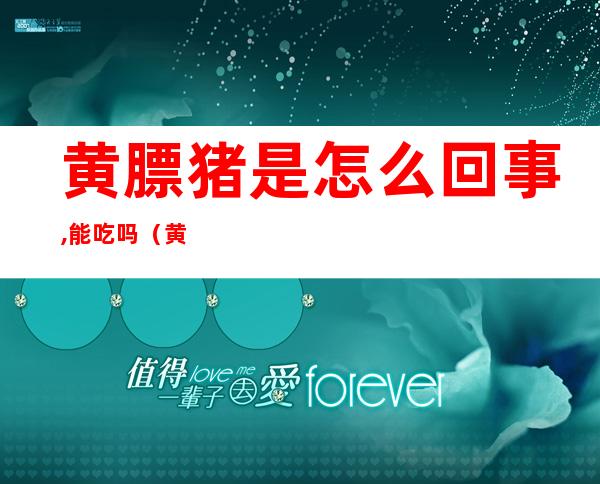 黄膘猪是怎么回事,能吃吗（黄膘猪有什么症状）