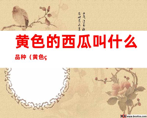 黄色的西瓜叫什么品种(黄色的西瓜叫什么品种的)