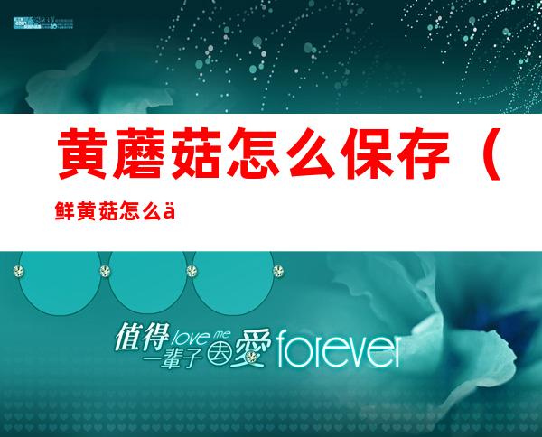 黄蘑菇怎么保存(鲜黄菇怎么保存)
