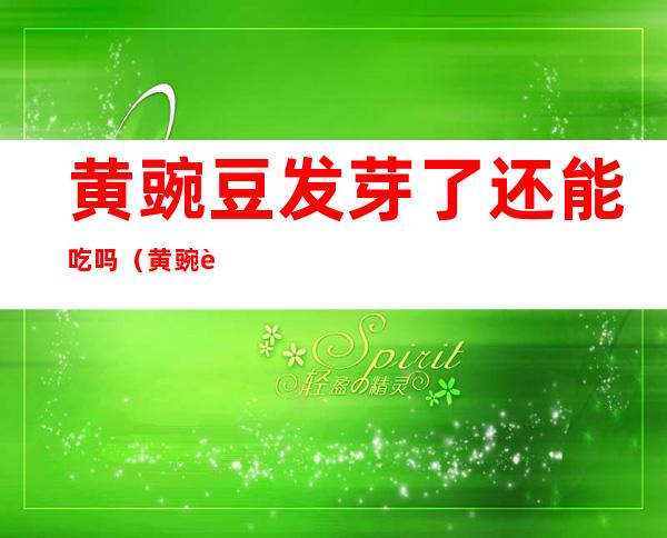 黄豌豆发芽了还能吃吗（黄豌豆能发豆芽吗）
