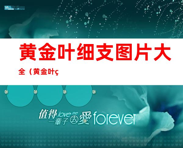 黄金叶细支图片大全（黄金叶细支图片大全30元）