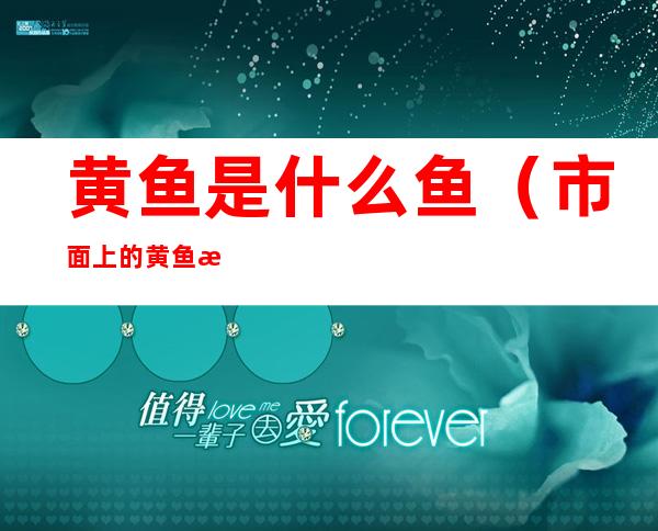 黄鱼是什么鱼(市面上的黄鱼是什么鱼)