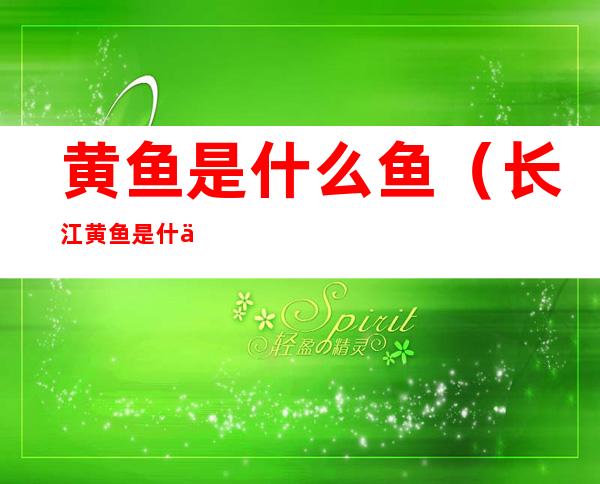 黄鱼是什么鱼(长江黄鱼是什么鱼)