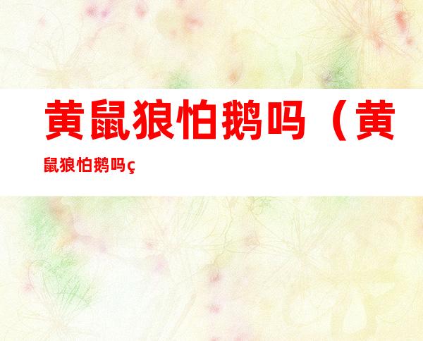 黄鼠狼怕鹅吗(黄鼠狼怕鹅吗百度百科)