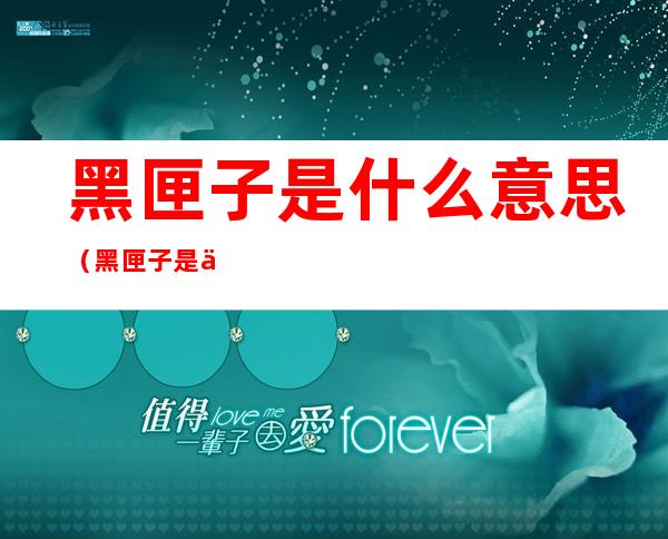 黑匣子是什么意思(黑匣子是什么意思?)