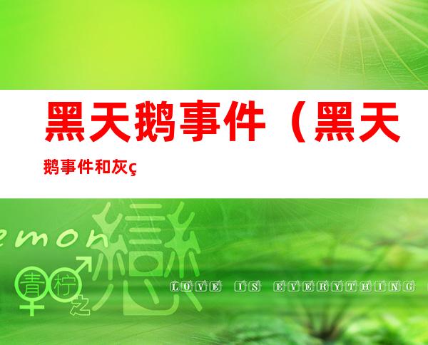 黑天鹅事件(黑天鹅事件和灰犀牛事件举例)
