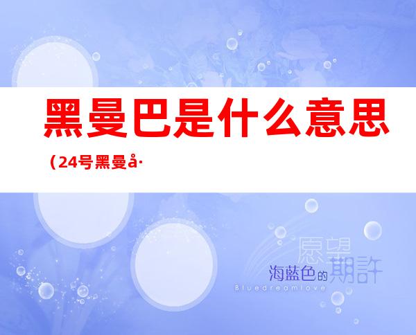 黑曼巴是什么意思(24号黑曼巴是什么意思)