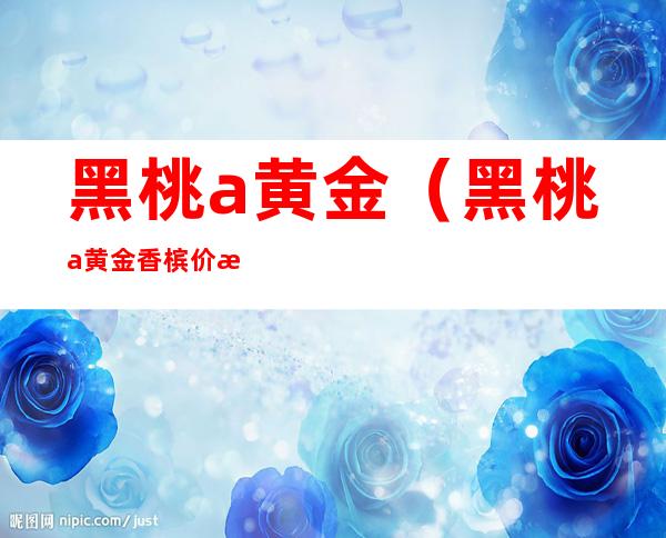 黑桃a黄金(黑桃a黄金香槟价格表)