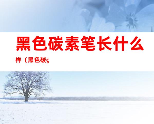 黑色碳素笔长什么样(黑色碳素笔长什么样图片)