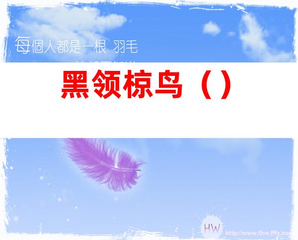 黑领椋鸟()