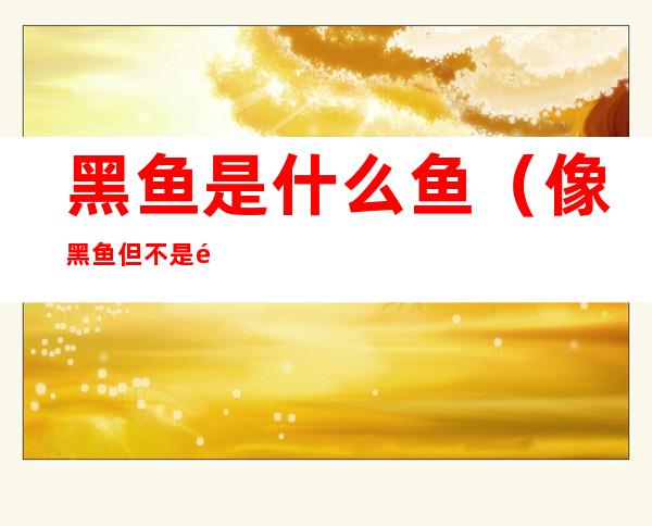 黑鱼是什么鱼(像黑鱼但不是黑鱼是什么鱼)