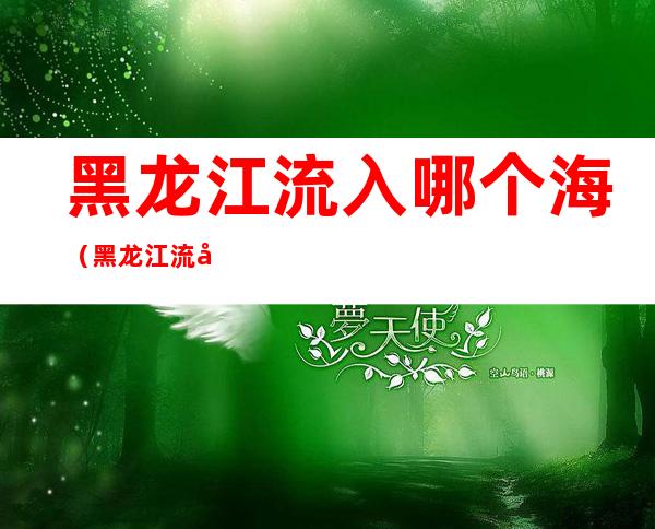 黑龙江流入哪个海(黑龙江流入哪个海洋)