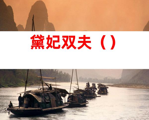 黛妃双夫()