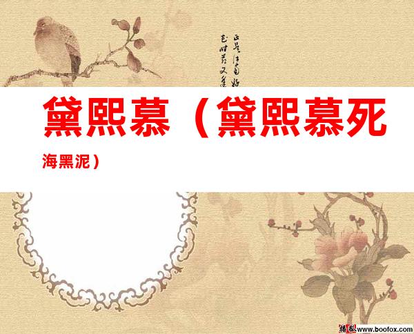 黛熙慕(黛熙慕死海黑泥)