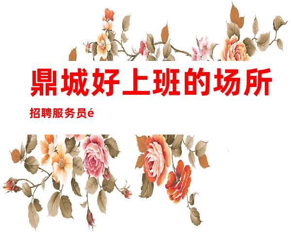 鼎城好上班的场所招聘服务员/高薪12/解一下不吃亏