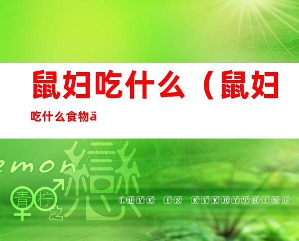 鼠妇吃什么(鼠妇吃什么食物为主)
