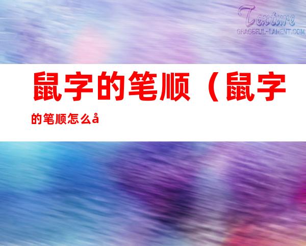鼠字的笔顺(鼠字的笔顺怎么写)