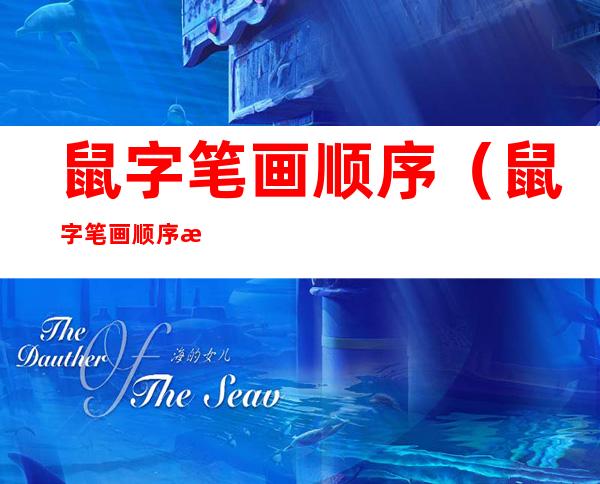 鼠字笔画顺序(鼠字笔画顺序怎么写好看)