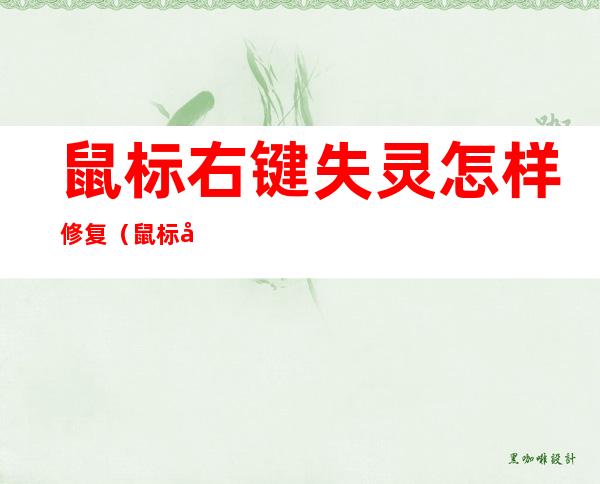 鼠标右键失灵怎样修复（鼠标右键失灵怎样修复电脑）