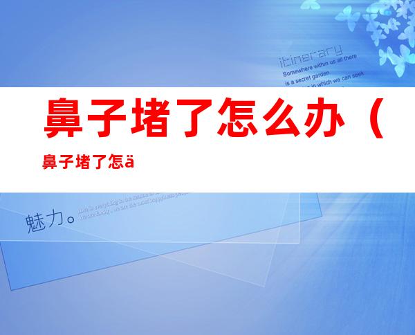 鼻子堵了怎么办(鼻子堵了怎么办快速通气)