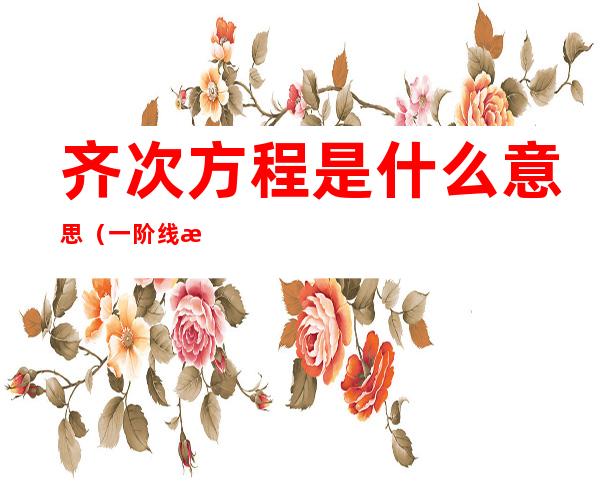 齐次方程是什么意思(一阶线性齐次方程是什么意思)