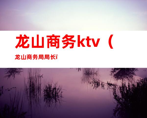 龙山商务ktv(龙山商务局局长)