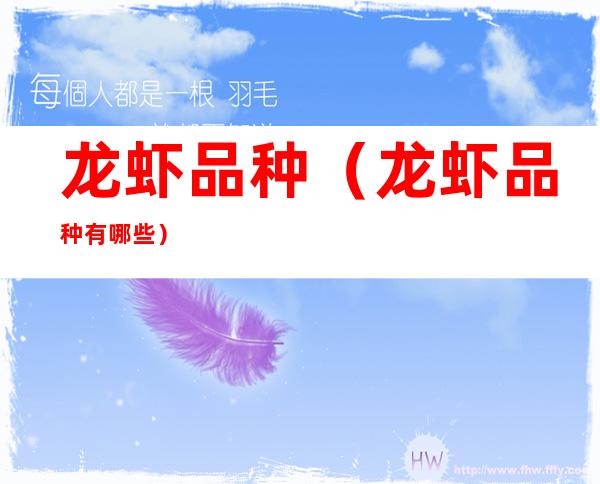 龙虾品种(龙虾品种有哪些)