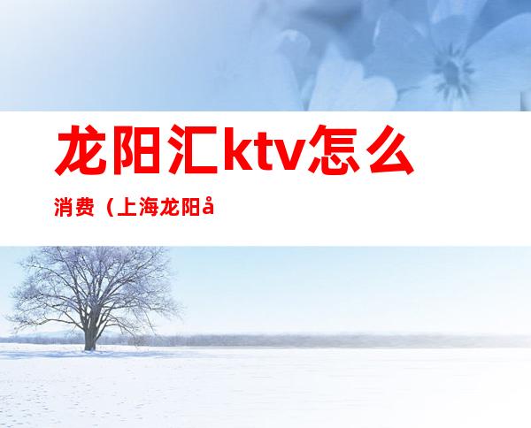 龙阳汇ktv怎么消费(上海龙阳国际ktv价格)