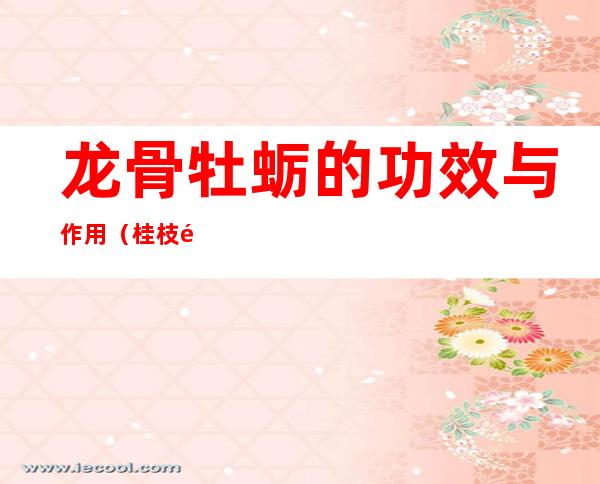 龙骨牡蛎的功效与作用(桂枝龙骨牡蛎的功效与作用)