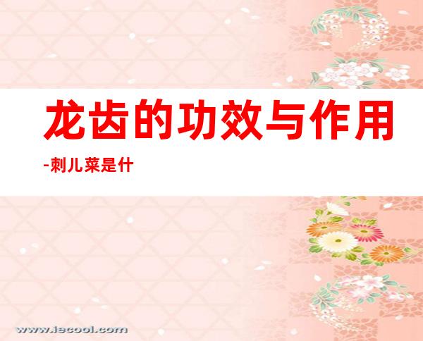 龙齿的功效与作用-刺儿菜是什么?有什么作用吗?