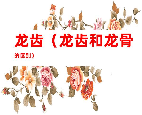 龙齿(龙齿和龙骨的区别)
