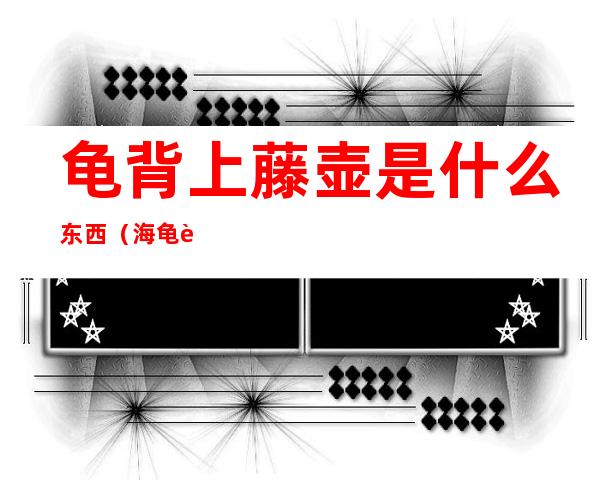 龟背上藤壶是什么东西（海龟背后的藤壶是干嘛的）