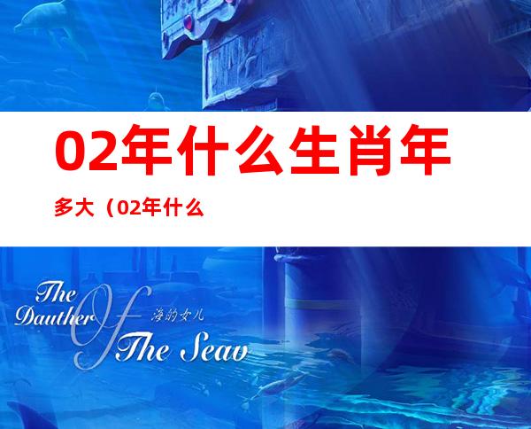 02年什么生肖年多大(02年什么生肖年多少岁)