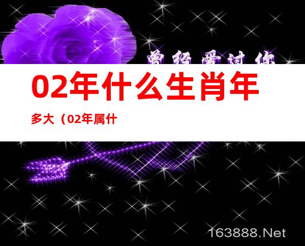 02年什么生肖年多大(02年属什么的生肖,今年属什么)