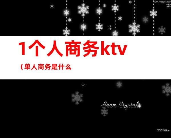 1个人商务ktv(单人商务是什么意思)